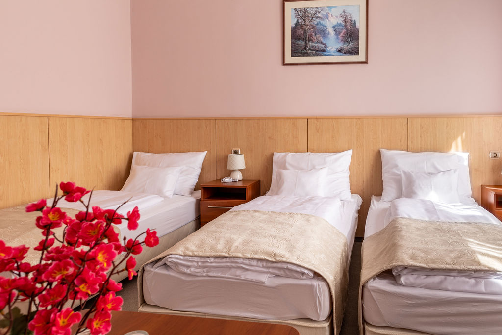 D Hotel Gyula